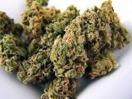 Critical Neville Haze