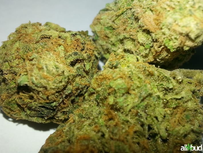 Fire OG