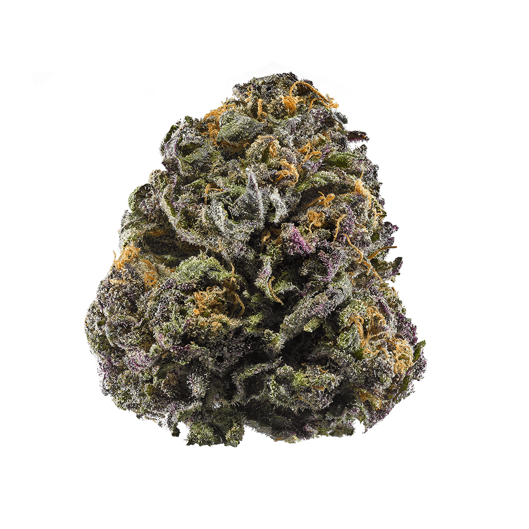Granddaddy Purple cannabis