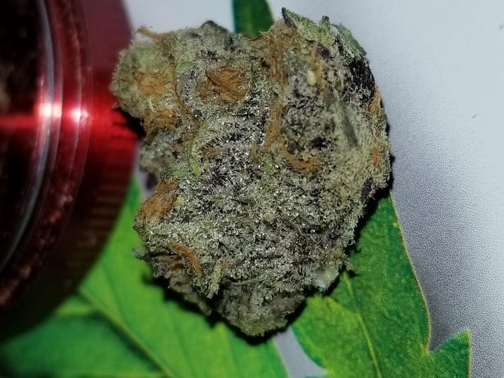 Purple Punch cannabis