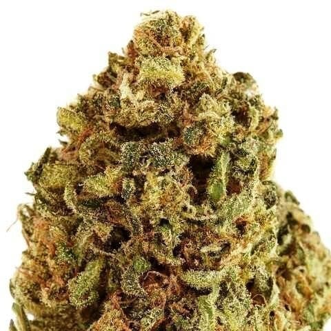 Sweet and Sour Widow